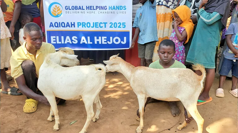 Aqiqah program showing Islamic newborn celebration and charitable meat distribution