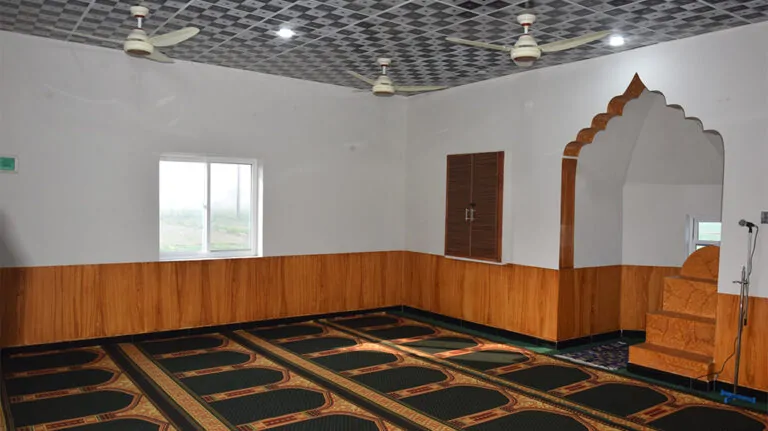 Pakistan Rural Masjid photo, 4 of 7