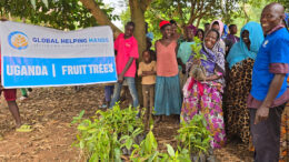 Fruit tree plantation project supporting communities with ongoing harvest