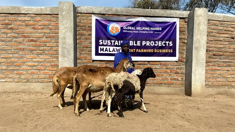 Goat Farming Business photo, 2 of 3