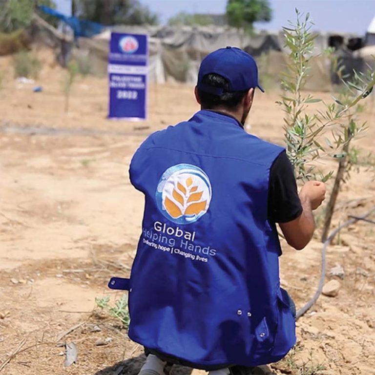 Aid worker in a Global Helping Hands vest planting an olive sapling