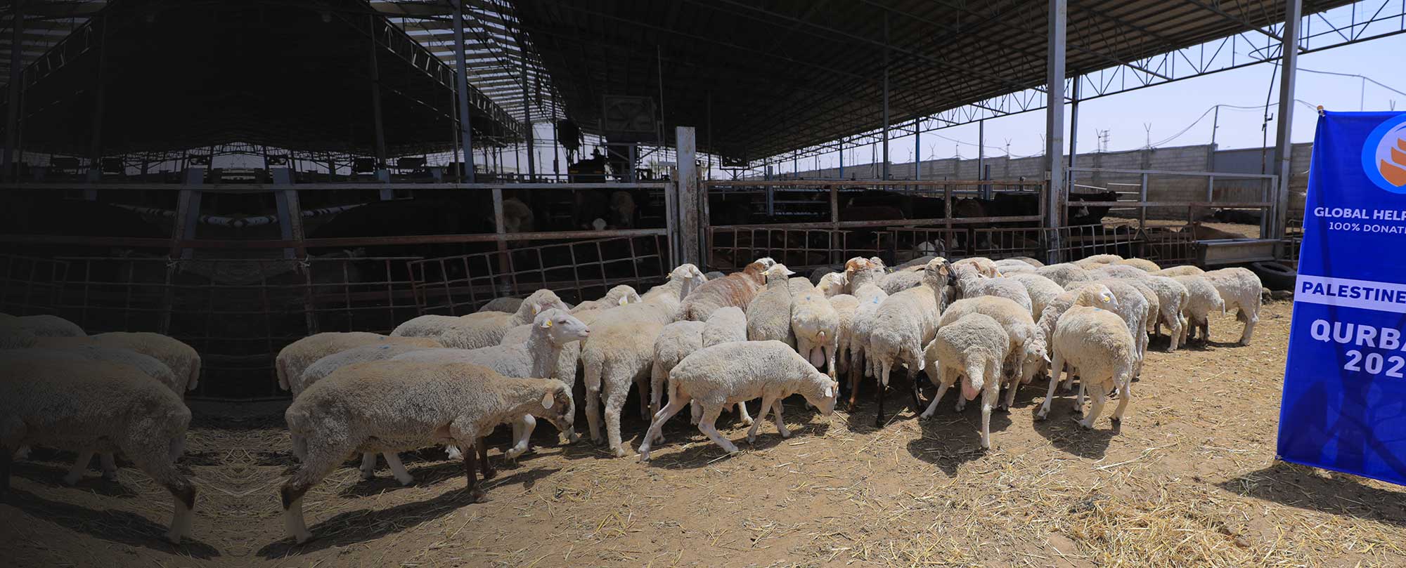 Qurbani 2023 campaign banner promoting sacrifice and meat distribution