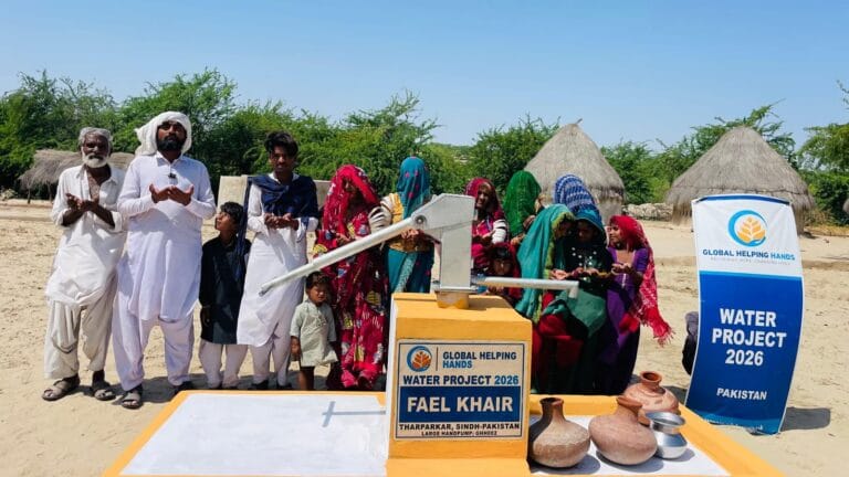 Pakistan Water Pump photo, 2 of 4