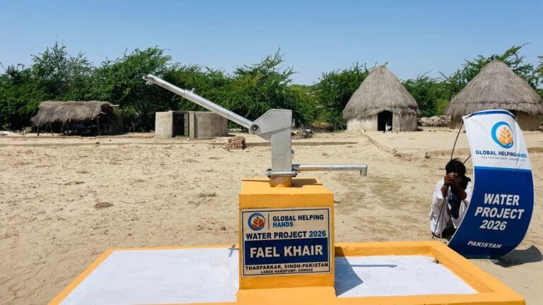 Pakistan Water Pump photo, 3 of 4