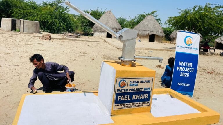 Pakistan Water Pump photo, 4 of 4