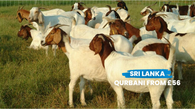 Sri Lanka