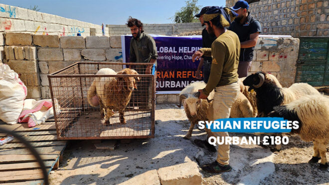 Syrian Refugees Qurbani